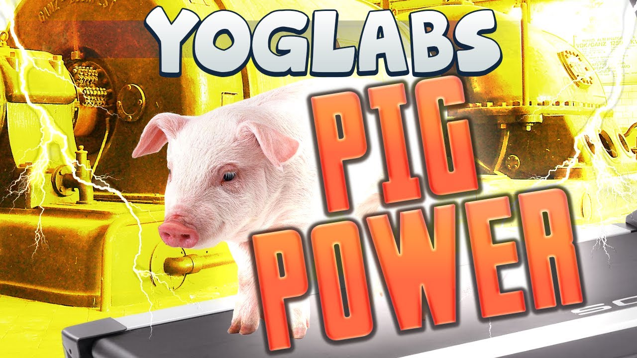 Minecraft Mods - Pig Powered Cloning - Sync Mod - YogLabs