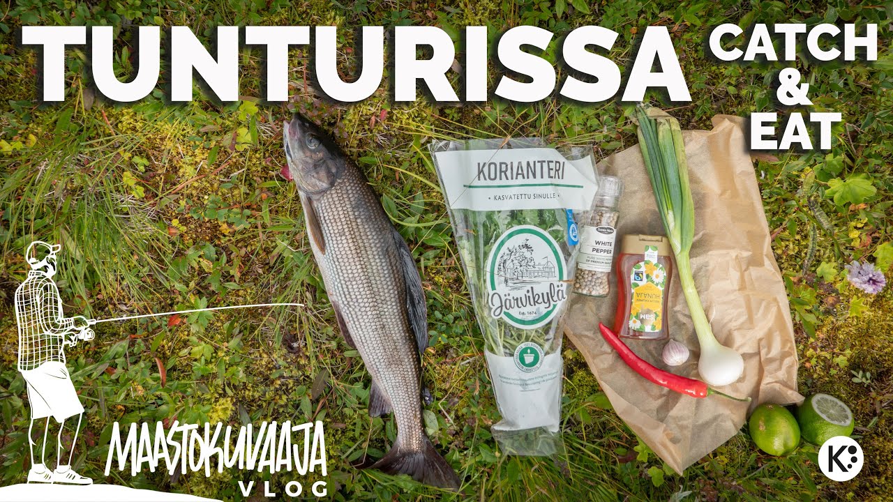 Kalastetaan 47 cm harjus & tehd&auml;&auml;n siit&auml; ceviche