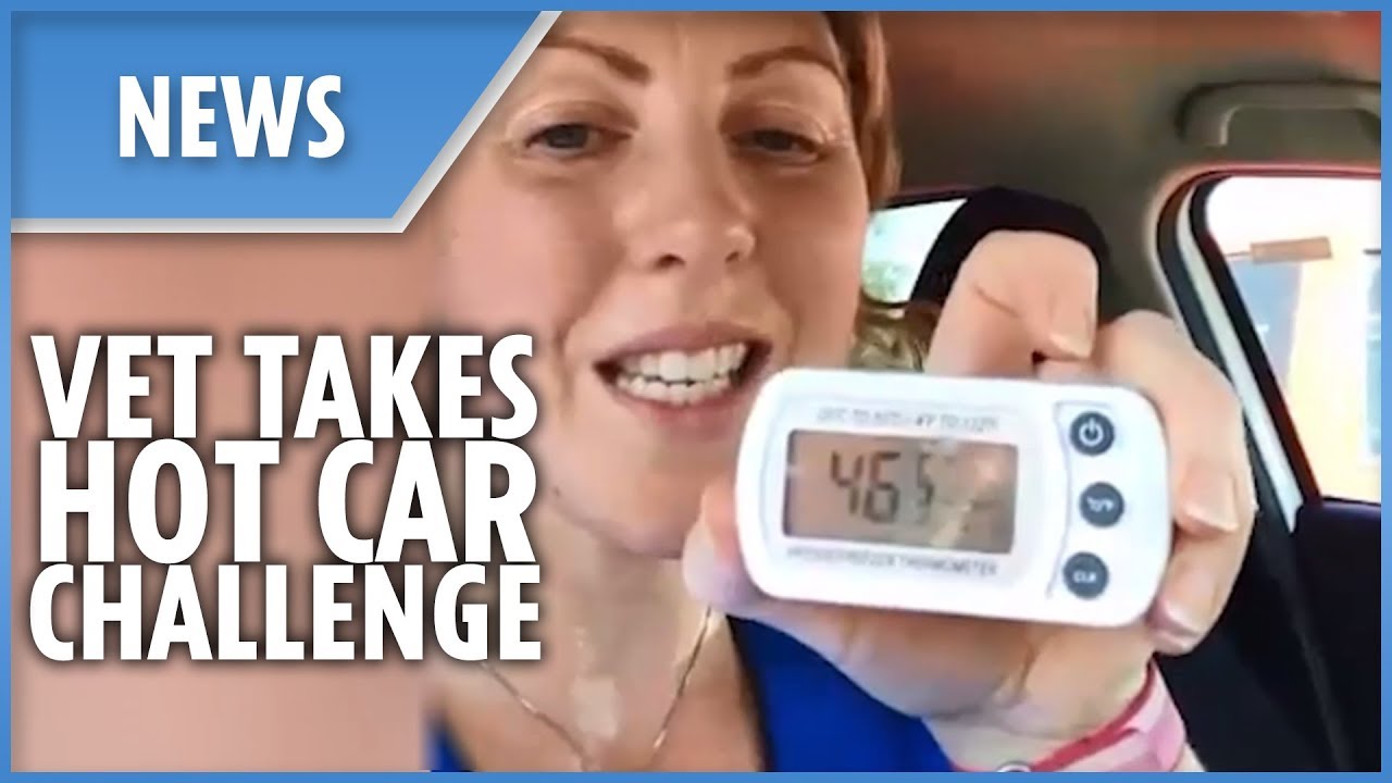 Vet takes hot car challenge with shocking results