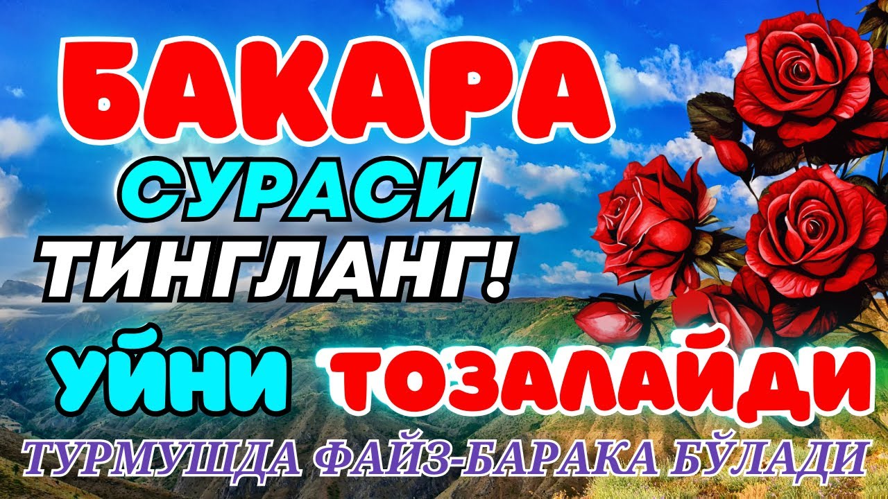 Бақара сураси Уйга ШАЙТОН кирмайди !!! Baqara surasi БАКАРА BAQARAH | БУ СУРАНИ УҚИНГ