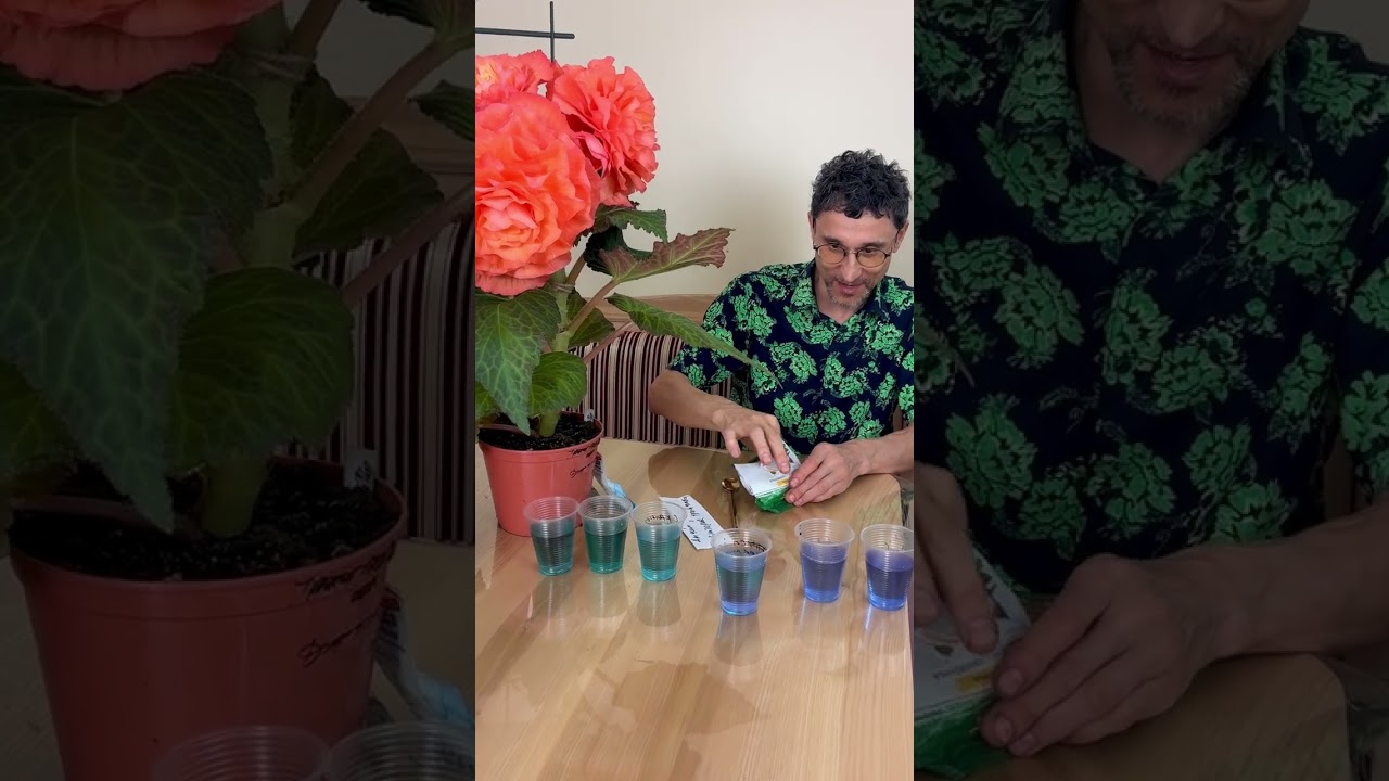 Доступный способ тестирования воды для полива растений 