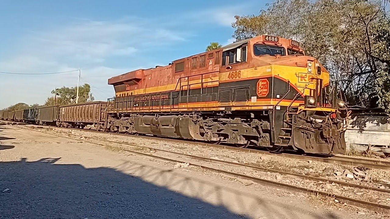 Tren gondolero con remota