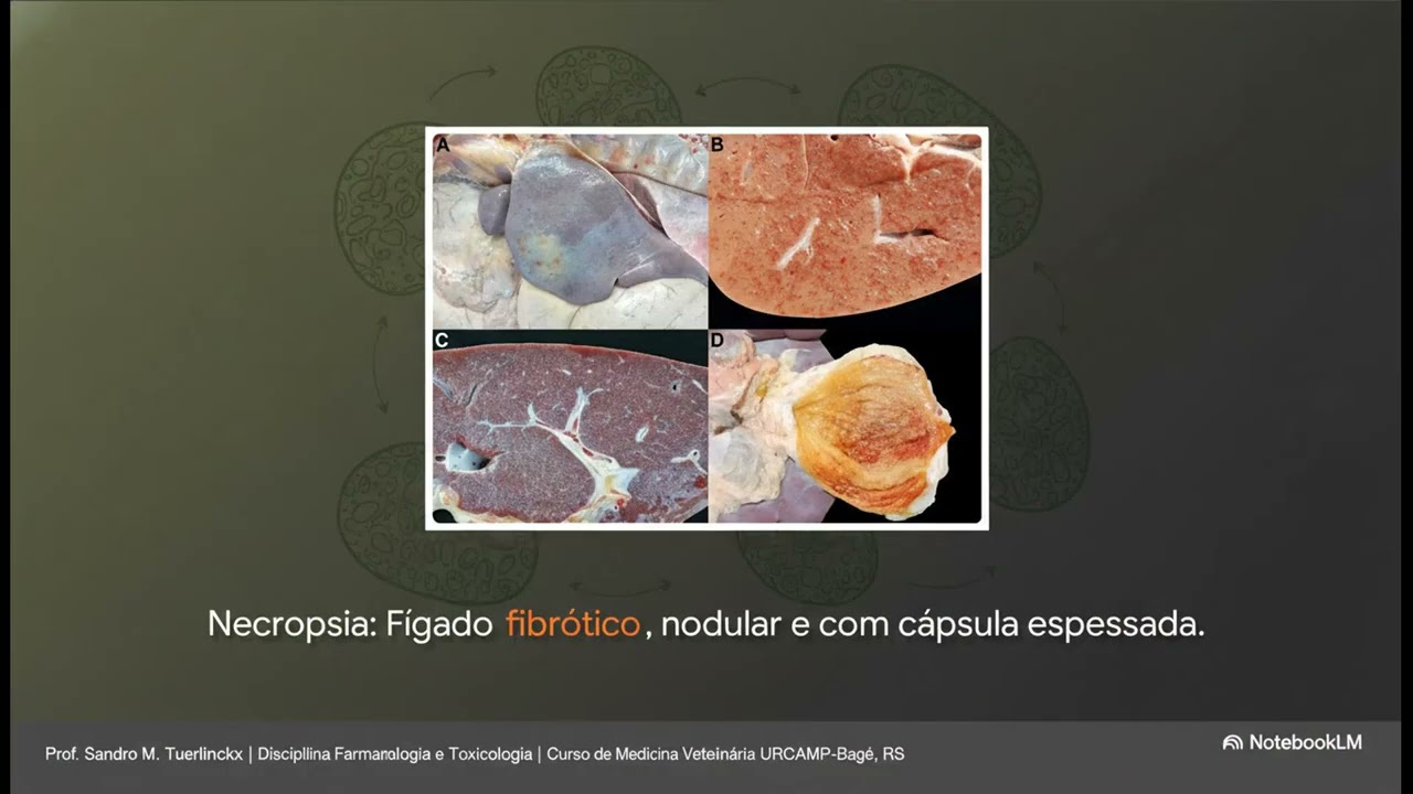 O Assassino no Pasto; Seneciose em Bovinos: Como Identificar, Prevenir e Controlar a Maria-Mole