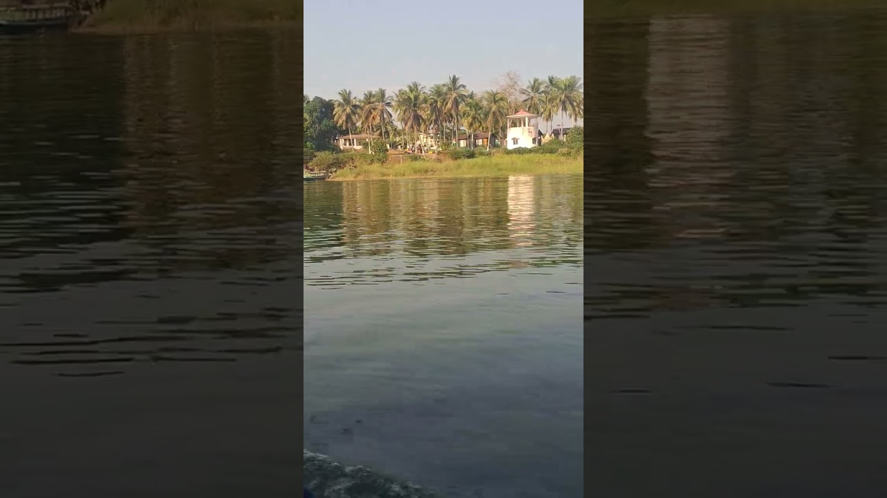 ডুম্বুর নারকেল কুঞ্জবন 