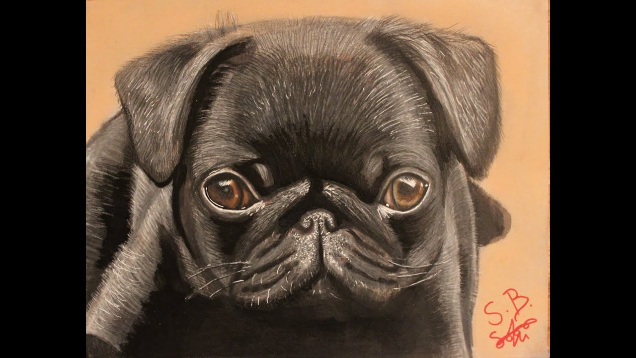 Me drawing a Pug