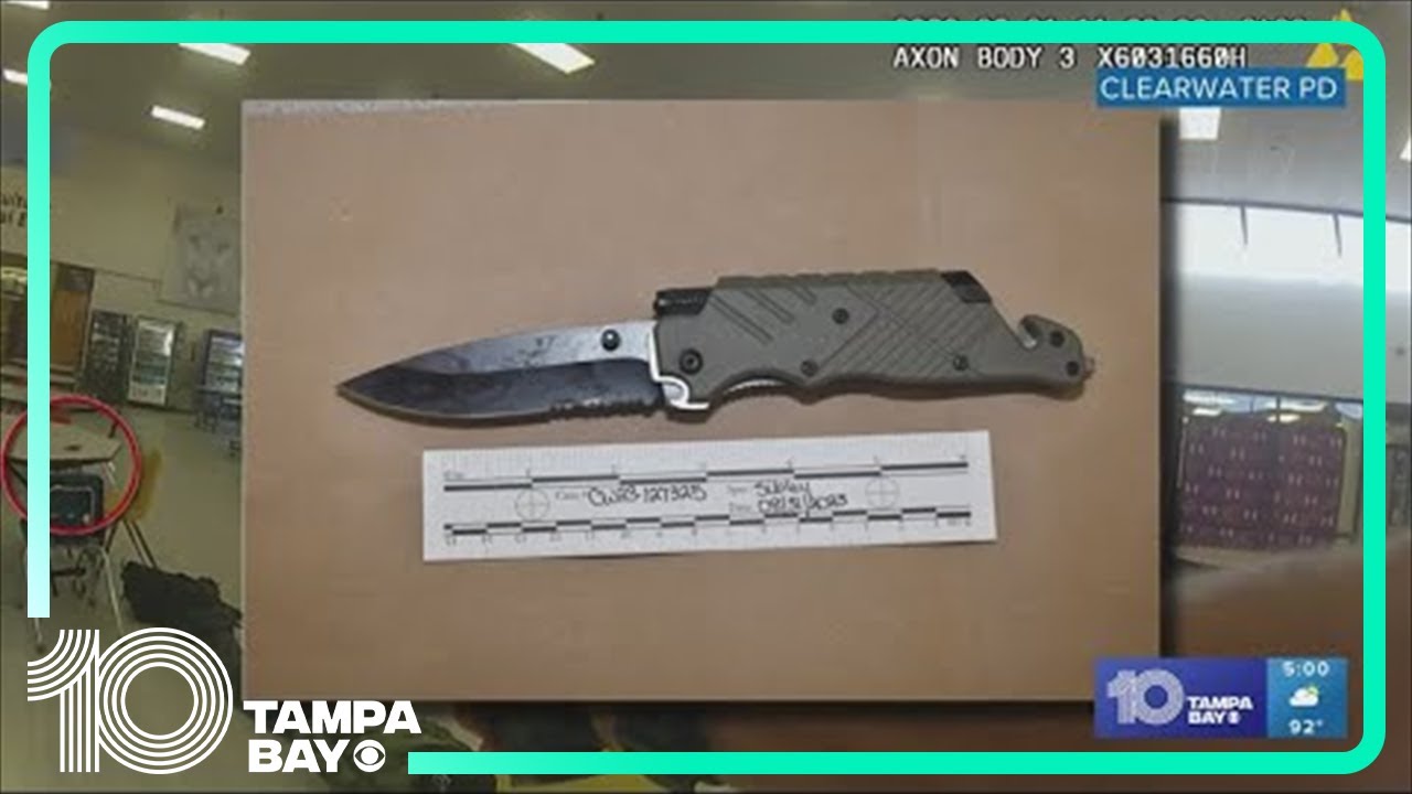 Teen accused of stabbing 2 had 'manifesto' with intent to kill, police chief says