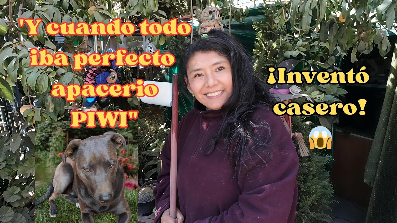 ¡Riego mis plantas colgantes con este INVENTO reciclado ! 😱♻️(Piwi no me deja trabajar 🐶🤭)