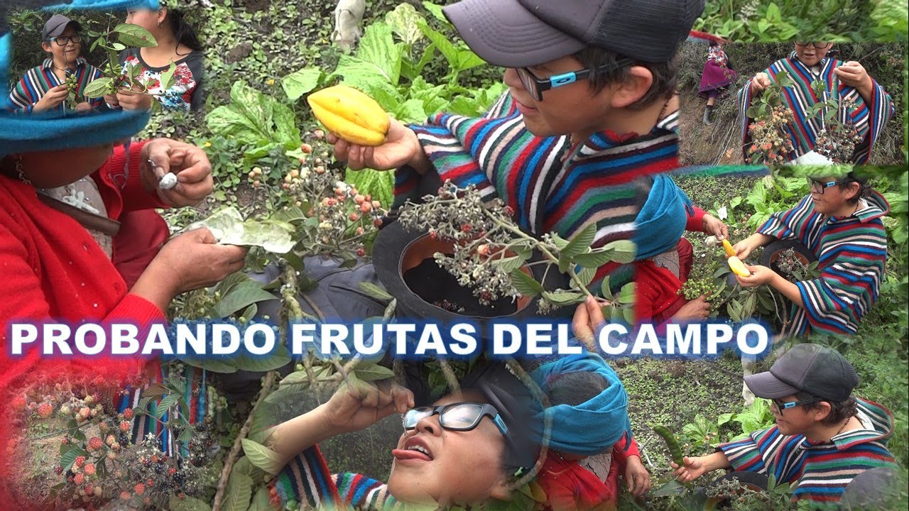 Frutas del Paramo | Memito Castro
