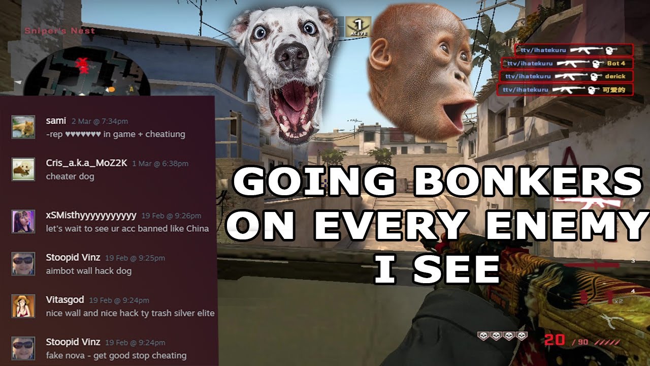 2000 Hours of Aim Training Gave Me Aimbot Hands!?