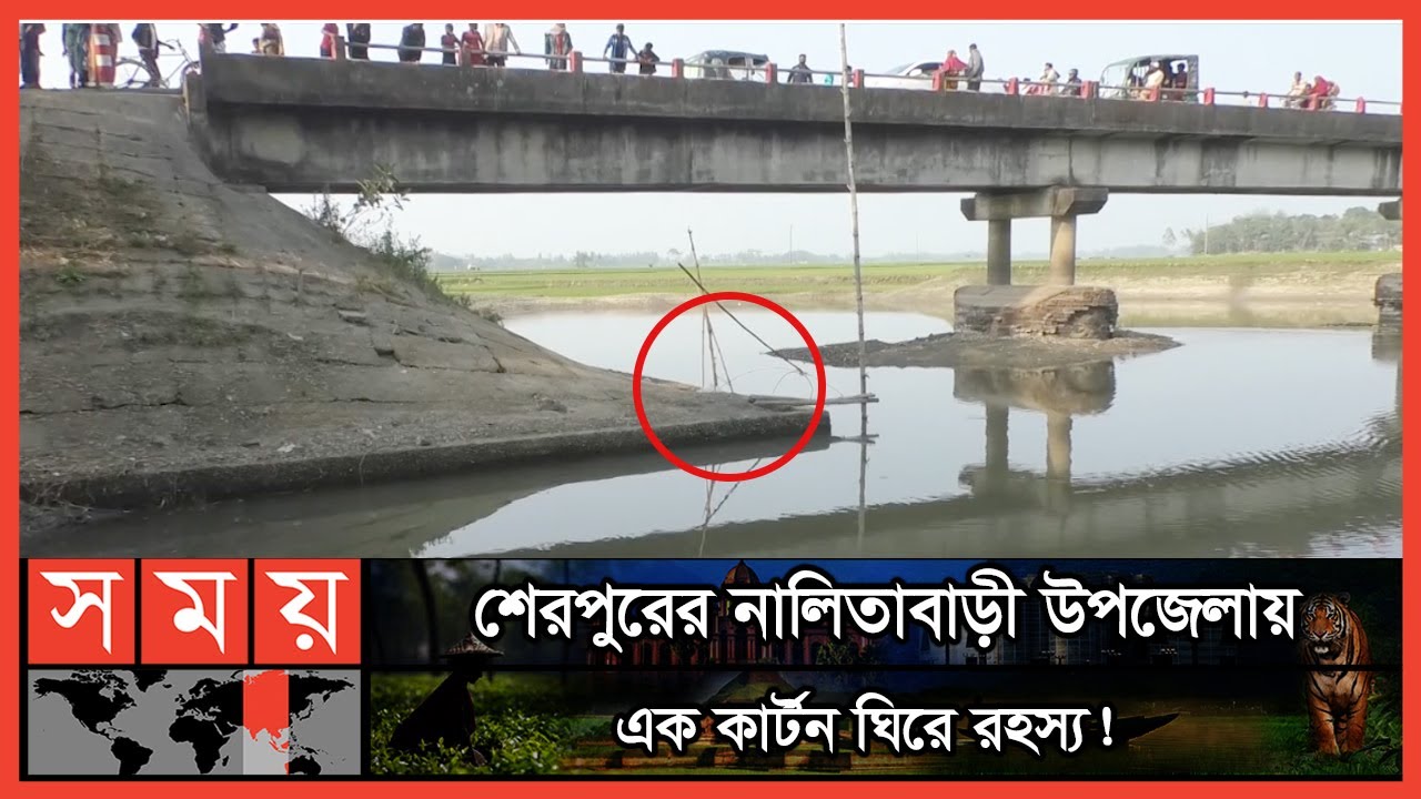 এ কী মিলল ব্রিজের নিচে কার্টনে! | Sherpur News | Somoy TV