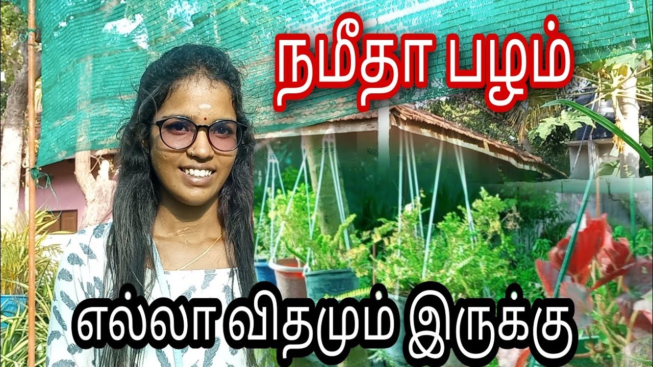 நமீதா பழம்கூட இருக்கு | தேவிகா பிளான்ட் நேசறி...!