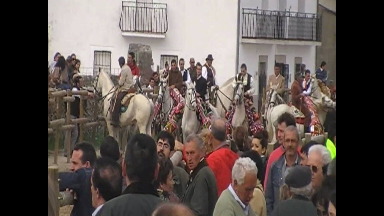 ALBALA GALLOS 2009