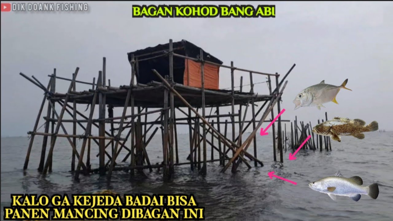 Plung Nyot..!! Kalo gak kejeda badai pasti panen ikan dibagan ini//Bagan Kohod