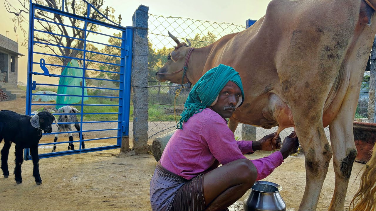 அப்பாவின் Morning Routine பார்க்கலாமா|Lifestyle Video|Idhu Namma Route.#tamil#vlog 