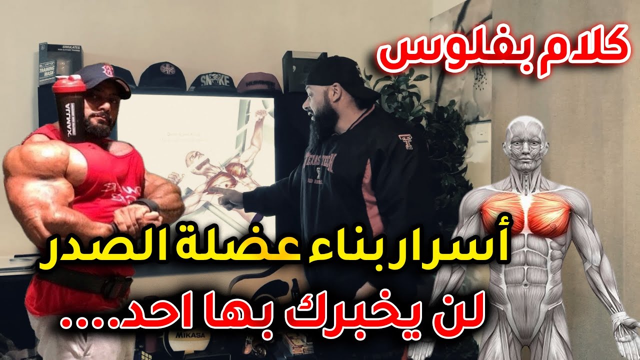 كلام بفلوس مع كابتن جانتي بالمجان  اسرار عضلة الصدرللمبتدئين والمتقدمين (معلومات لن يخبرك بها احد!!!