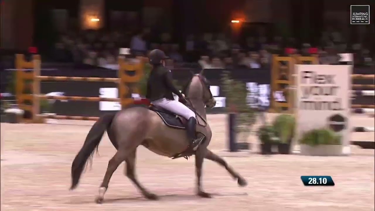 Box Office du Péna LAYS Etalons As poney élite Excellence Super As Bordeaux  février 2023