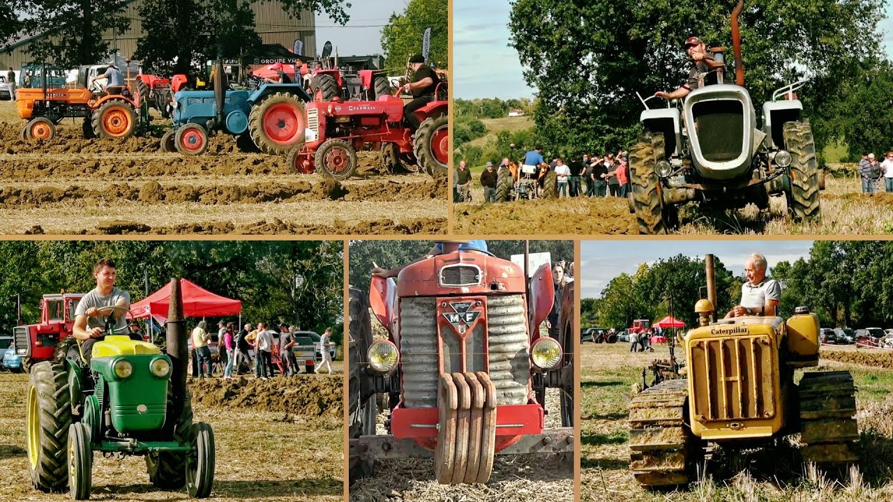 Labour rétro à Azas (31) Bolinder, Dutra, SFV super 202, Som, Ford, Massey, Farmall, Caterpillar…