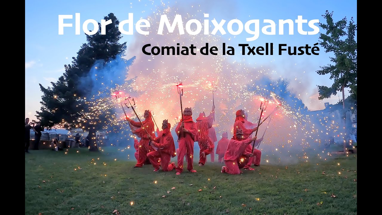 X&agrave;ldiga - Flor de Moixogants al comiat de la  Txell Fust&eacute;.[4K]