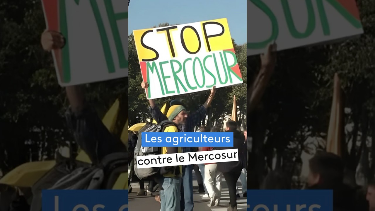 Agriculteurs en lutte : stop &agrave; l&rsquo;accord Europe-Mercosur