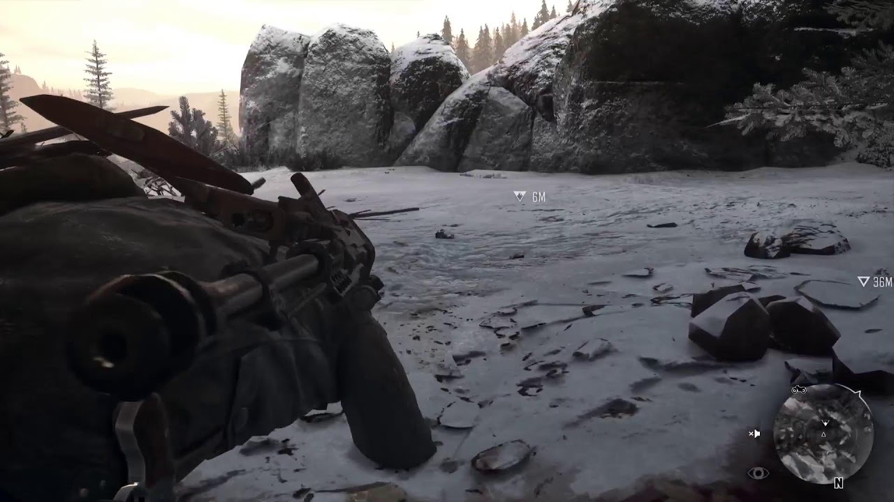 Days Gone