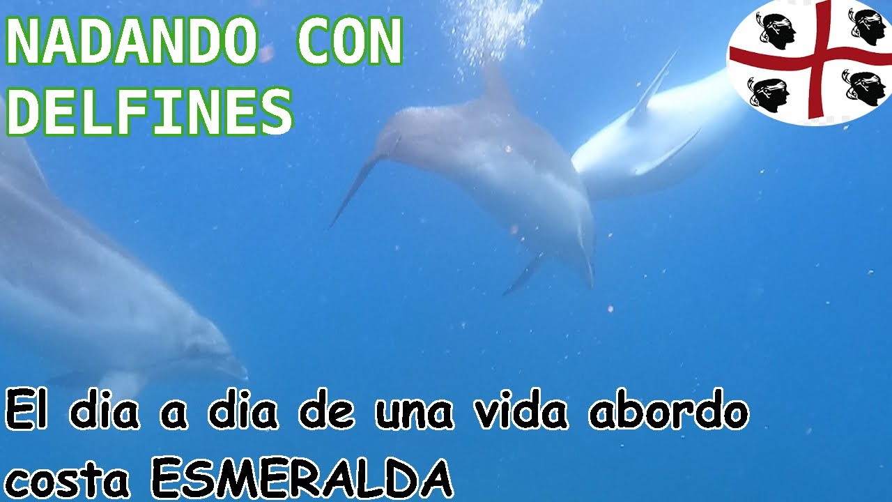 NADAMOS CON DELFINES EN LA COSATA ESMERALDA