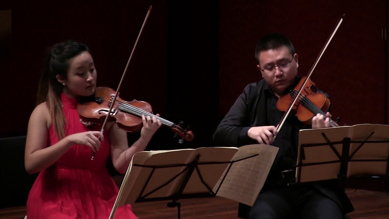 F. Schubert - Sting Quintet in C Major, D. 956