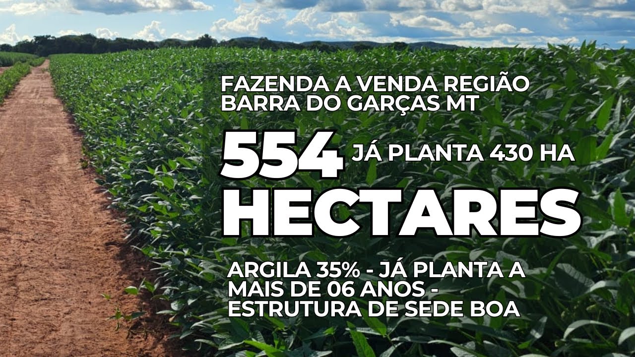 A FAZENDA DE SOJA MAIS BARATA DA REGIÃO BARRA DO GARÇAS MATO GROSSO - PERTO DE TUDO - R$ 27 MILHÃO