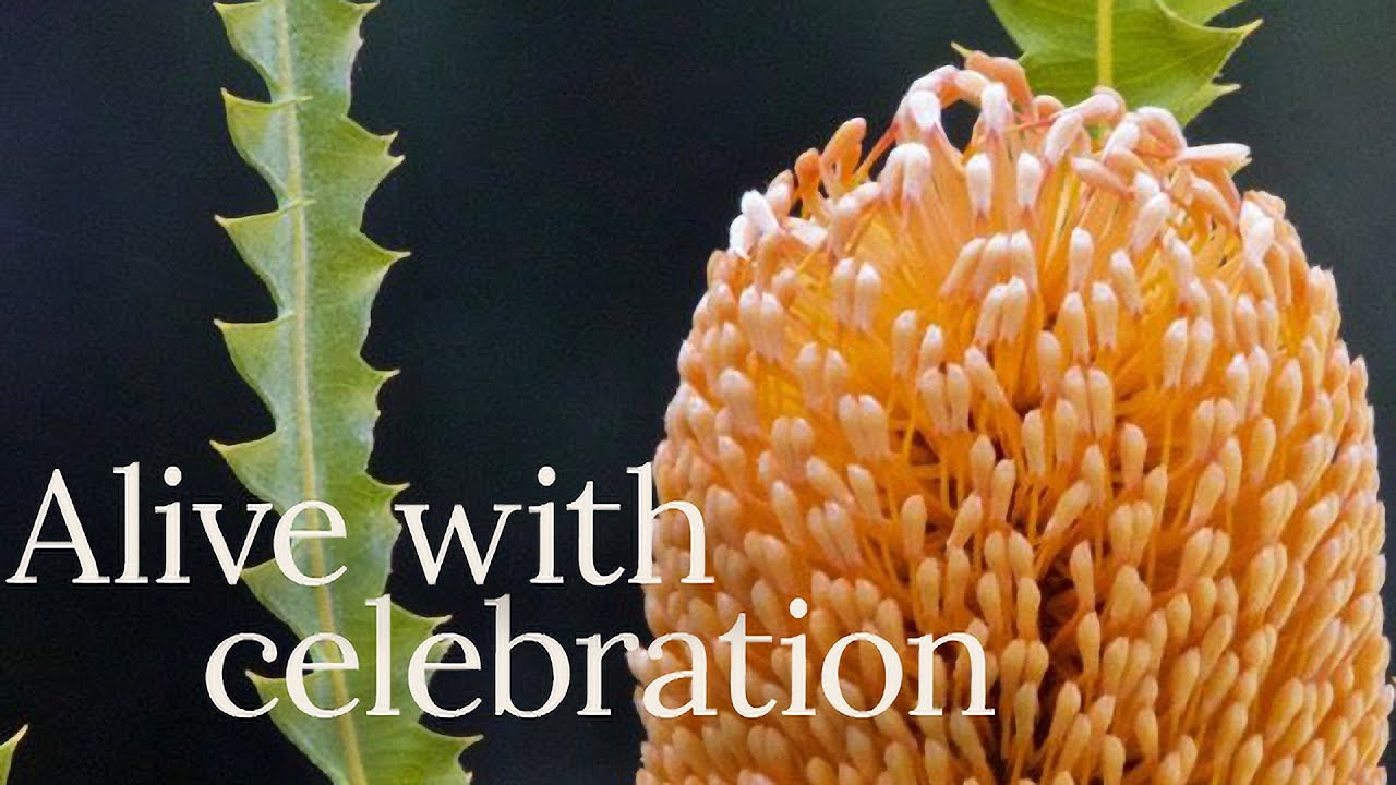 Opening of the Banksia Garden at the Australian National Botanic Gardens