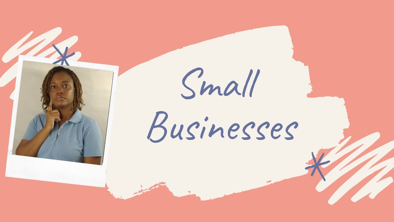 CSEC Principles of Business (P 8) - Small Businesses