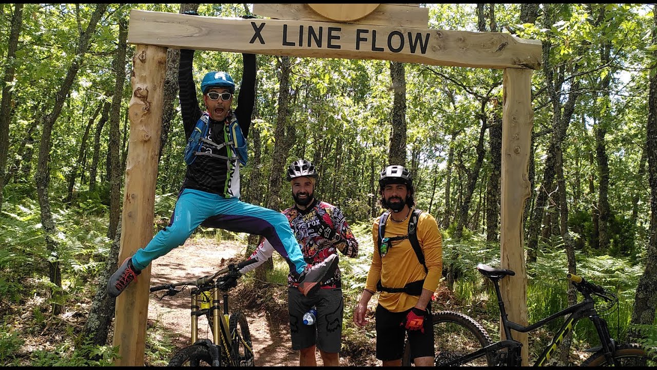 ZONA ALFA. X Line Flow I