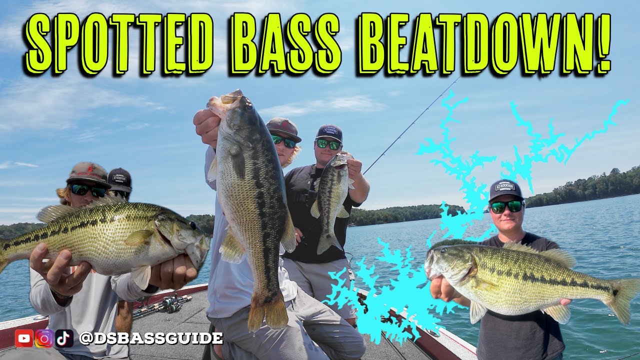 BIG SPOTTED BASS BEATDOWN on LAKE LANIER with BROOKS ANDERSON FISHING
