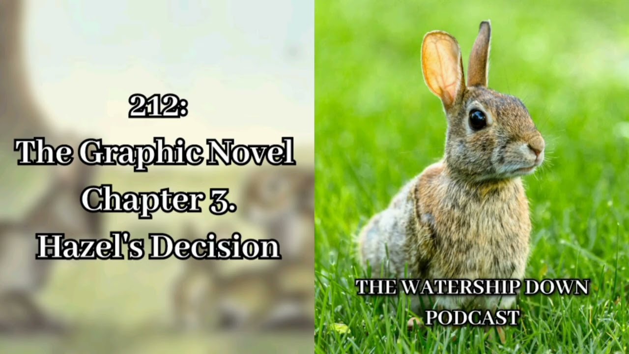 212: The Graphic Novel Chapter 3. Hazel's Decision