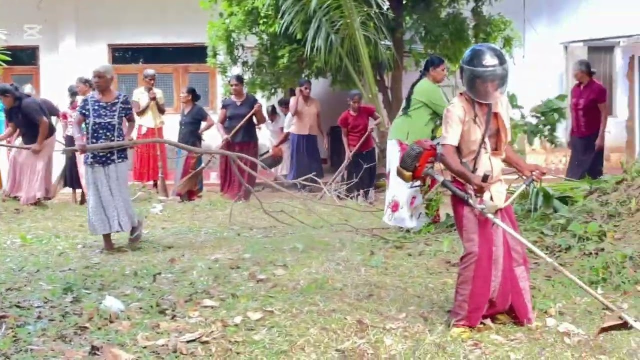 හමුවෙමු මොහොතක පරසතු උද්‍යානේ
