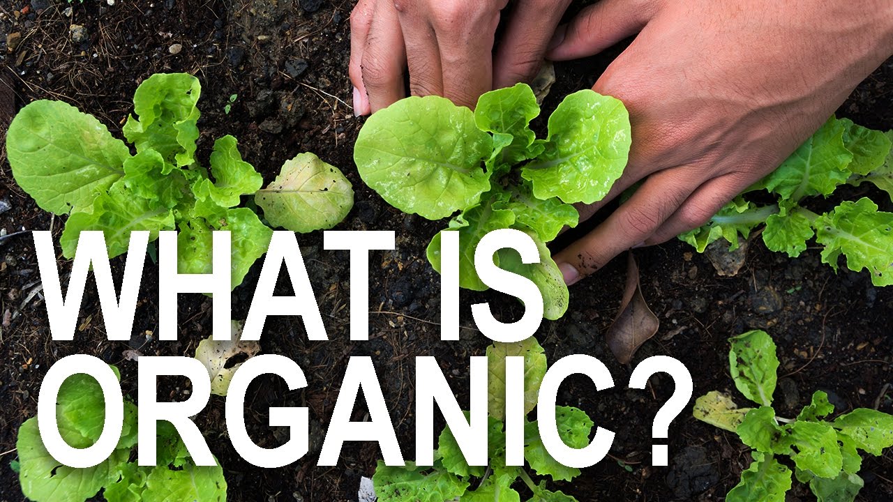 What is Organic?