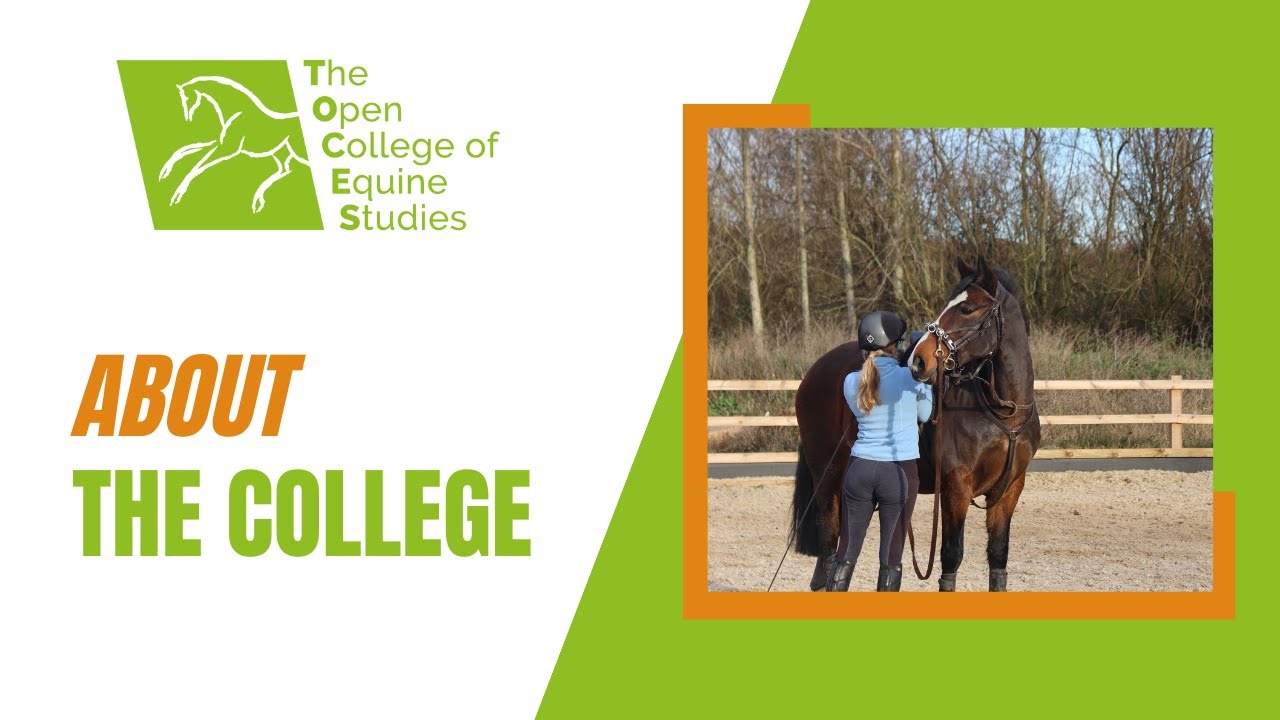 About The Open College of Equine Studies