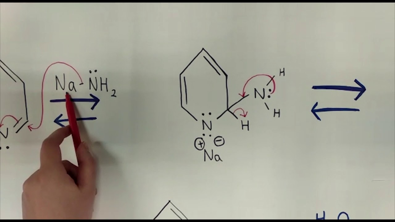 Chichibabin Reaction HZ University of applied Sciences