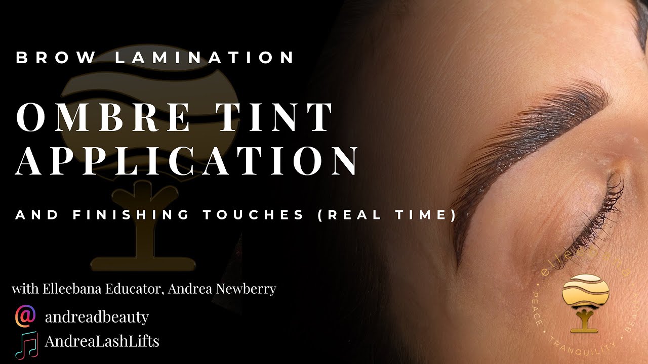 Ombre Tint Application + Finishing a Brow Lamination Treatment