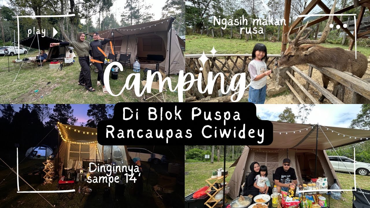 #3 Camping Hemat di Rancaupas Ciwidey: Nikmati Alam dengan Budget Terjangkau | Naturehike Village 13
