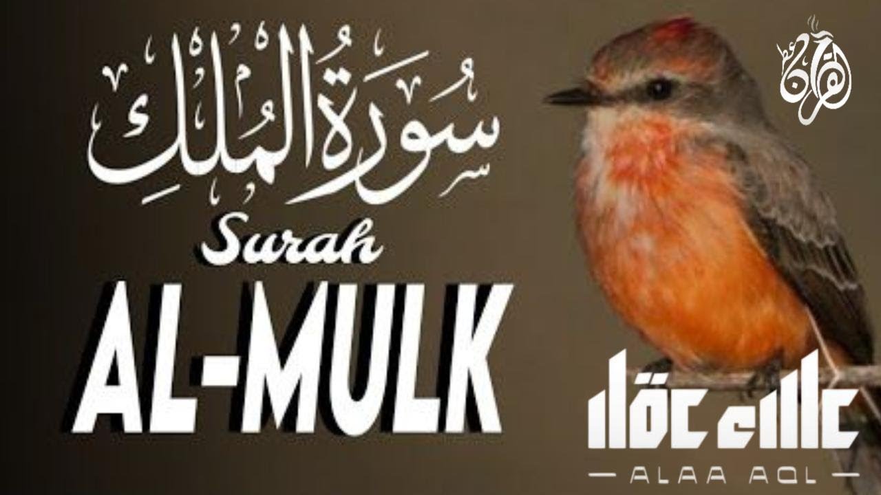 سورة الملك المنجية من عذاب القبر - رقية النوم تلاوة تريح القلب  صوت قادم من الجنة / للقارئ علاء عقل
