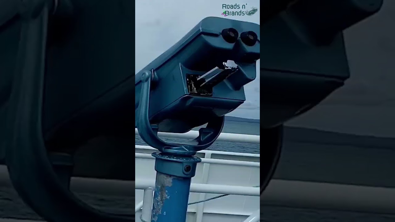 Fun 
