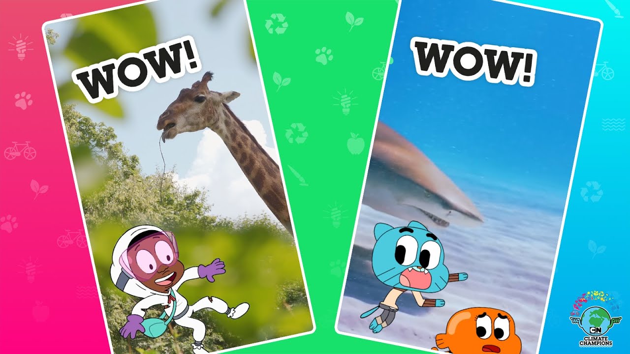 WOW! Awesome Animals | Cartoon Network Climate Champions | @cartoonnetworkuk