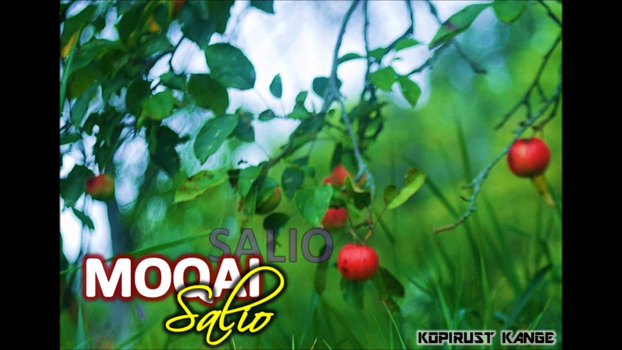 Moqai - Salio