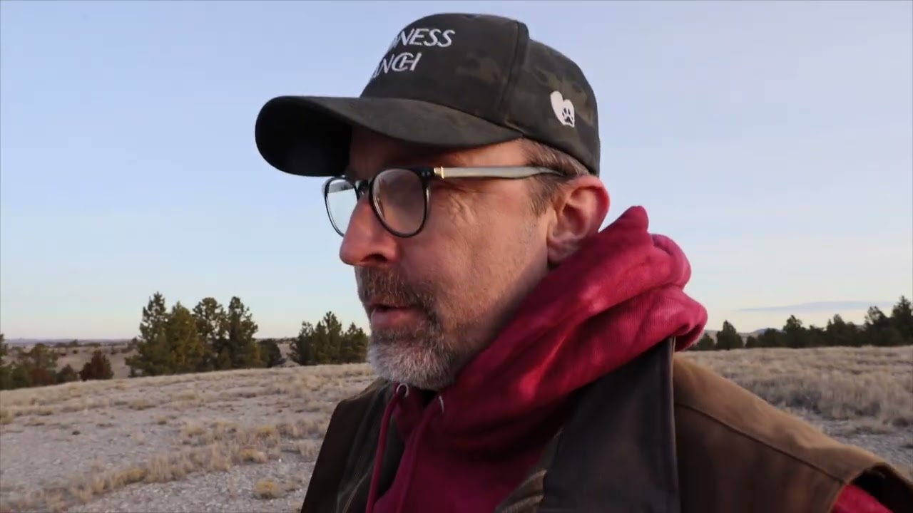New Year Ramble