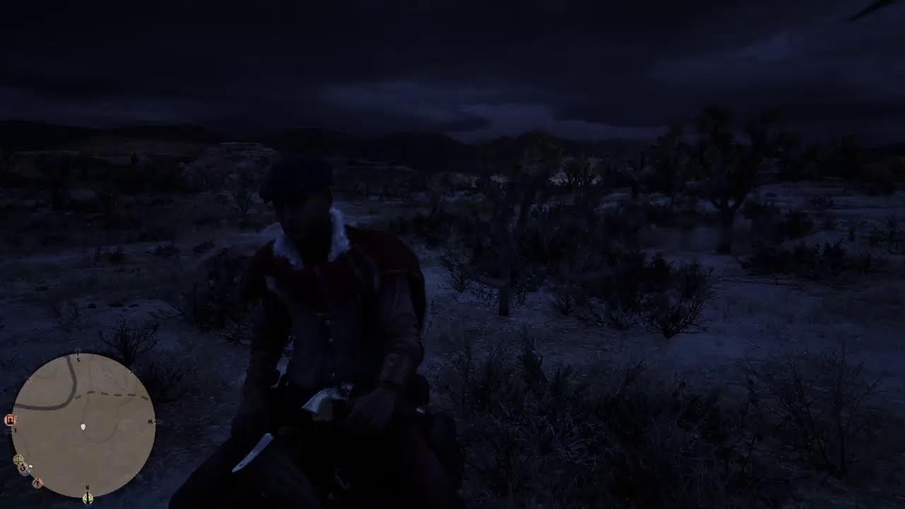 RED DEAD REDEMTION 2 ONLINE