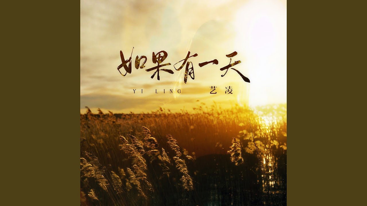如果有一天 (DJ光波版)