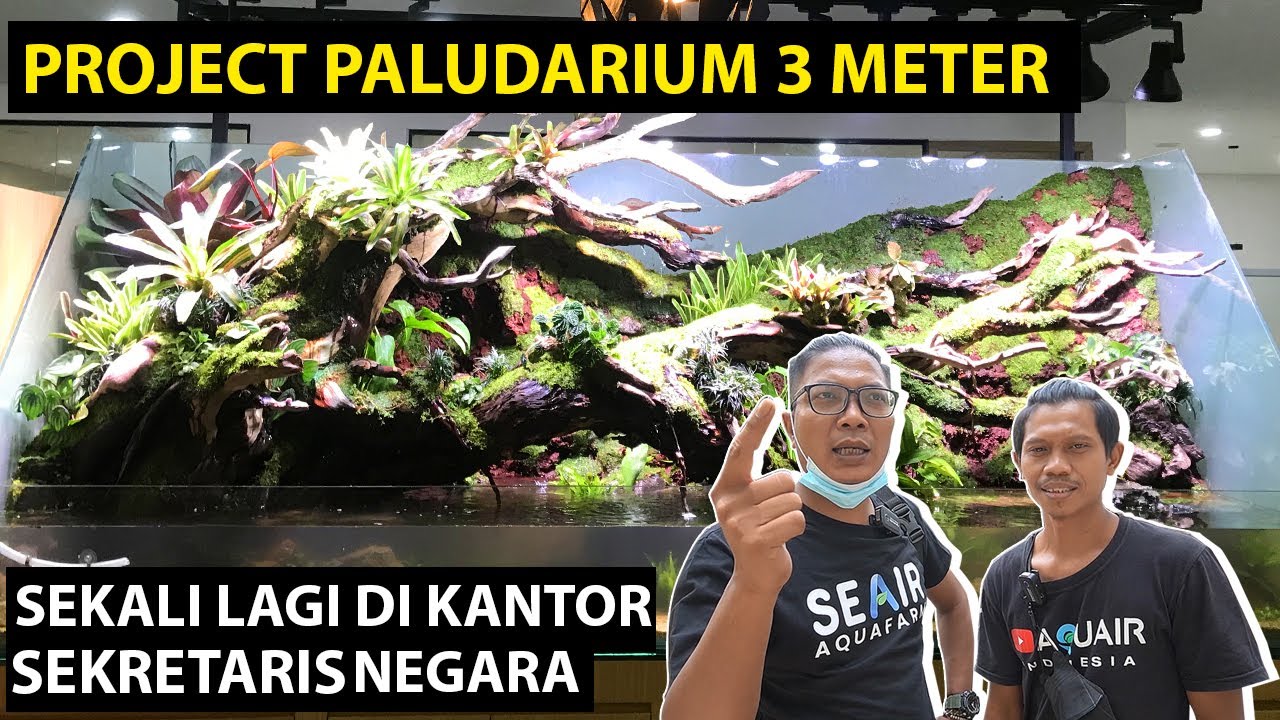 [PROJECTVLOG] SEKALI LAGI PROYEK DI KANTOR SEKRETARIS NEGARA!!! PALUDARIUM 3 METER GA MAIN-MAIN!!!