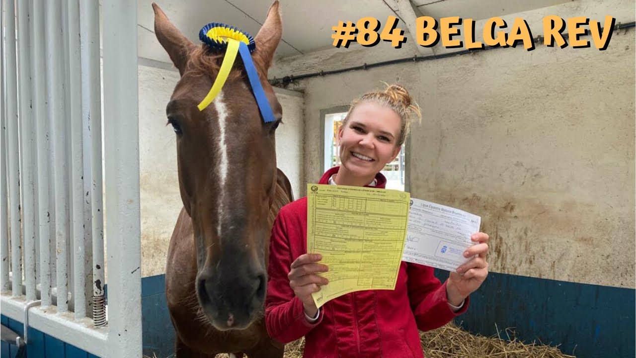 🇧🇪ÉTRIER D’OR - Belga REV🇧🇪