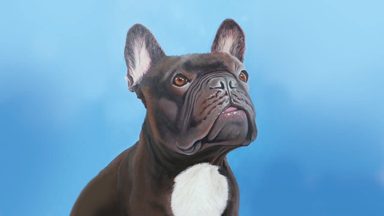 Pet portrait: Leo the French Bulldog