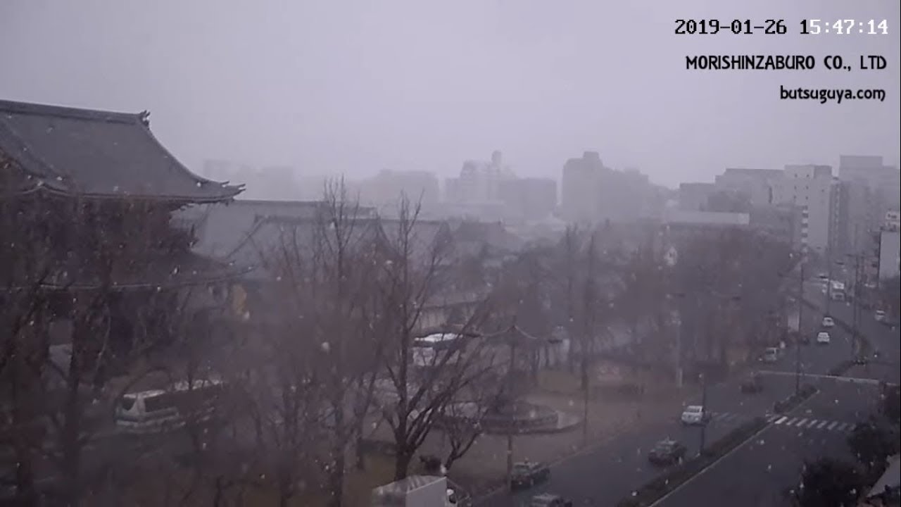 【ライブカメラアーカイブ】京都東本願寺前ライブカメラ　2019.1.26の大雪