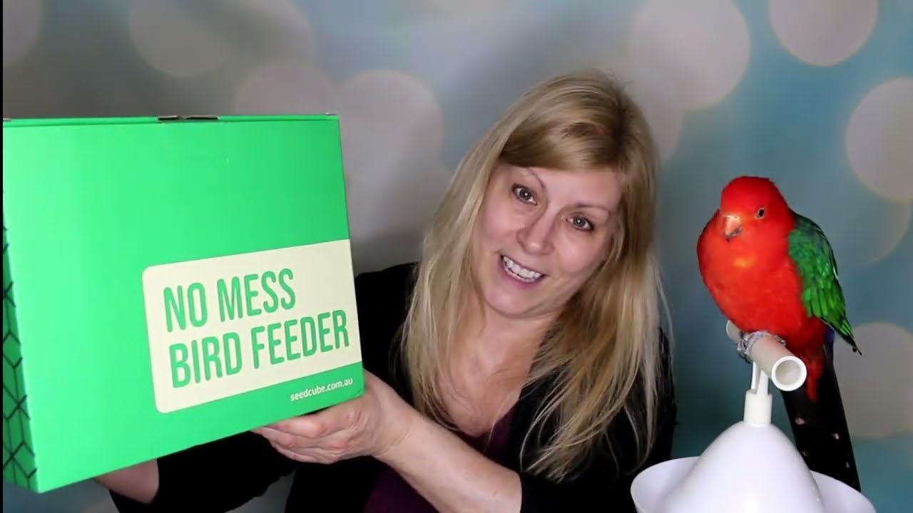 This No-Mess Bird-Feeder Cut my Cleaning Time in Half!